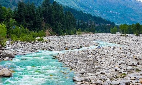 Why Choose a Tempo Traveller for Delhi to Manali?