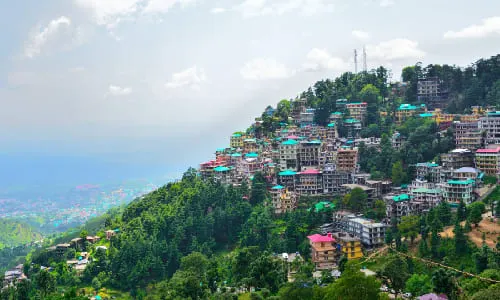 Why to choose a traveller from Delhi to Dharamshala?